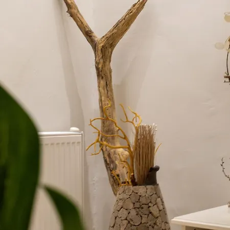 فيلة Zeusplace Divina Montagna نيوز  بانتيليموناس