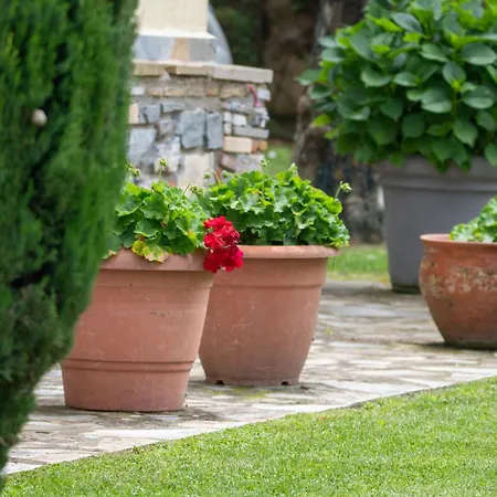 Zeusplace Divina Montagna * نيوز  بانتيليموناس