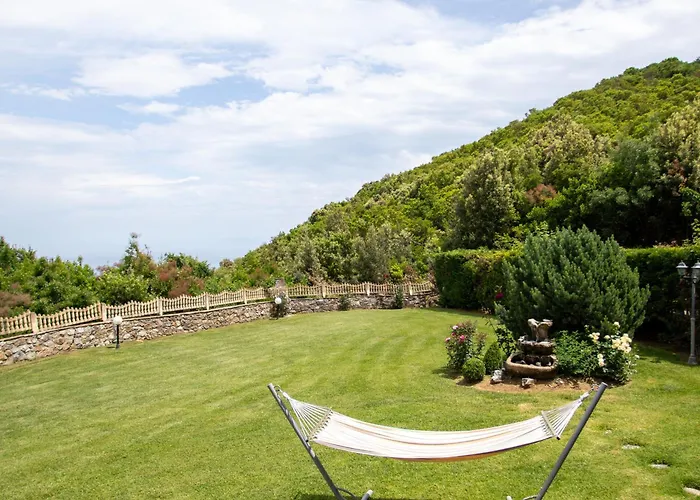 Zeusplace Divina Montagna Neos Panteleimonas